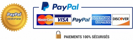 PayPal_Paiements_Sécurisés_Montage_Lock_Visa_LARGE PayPal_Paiements_Sécurisés_Montage_Lock_Visa_LARGE